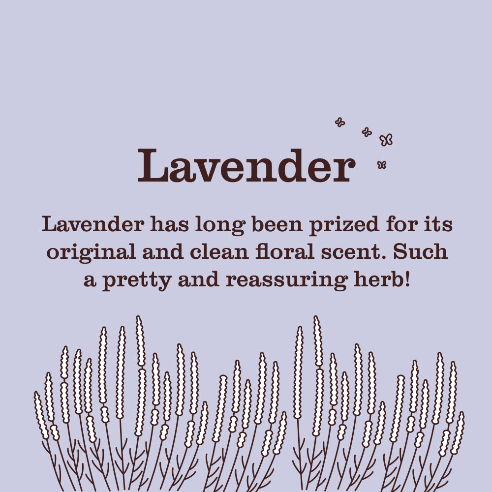 Lavender Scent Booster - Image 4