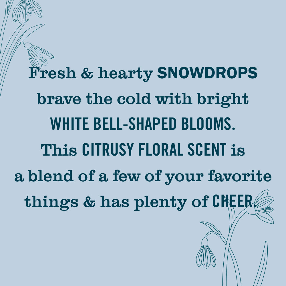 Snowdrop Essentials 5-Count Bundle - Image 6