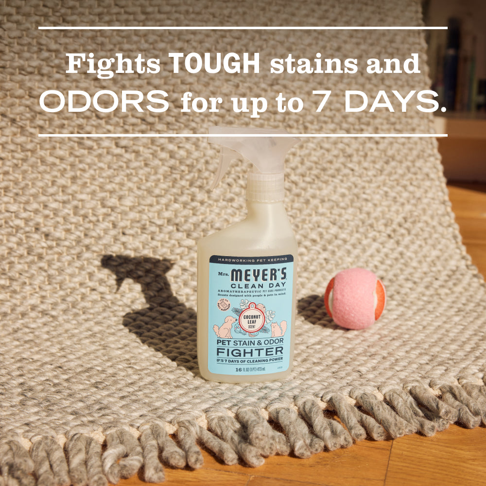 Cat Care Set - Image 8