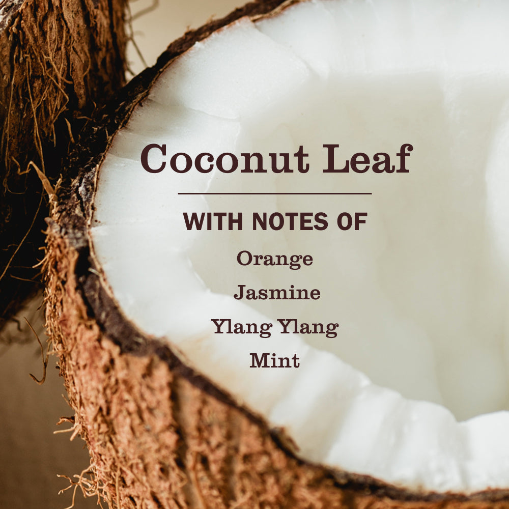 Coconut Leaf Pet Multi-Surface Cleaner - Image 3