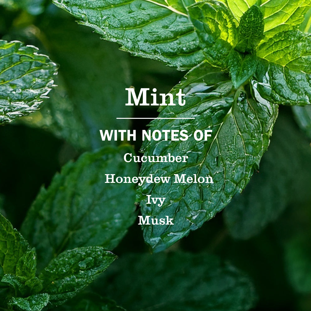 Spring Features Collection - Image 6