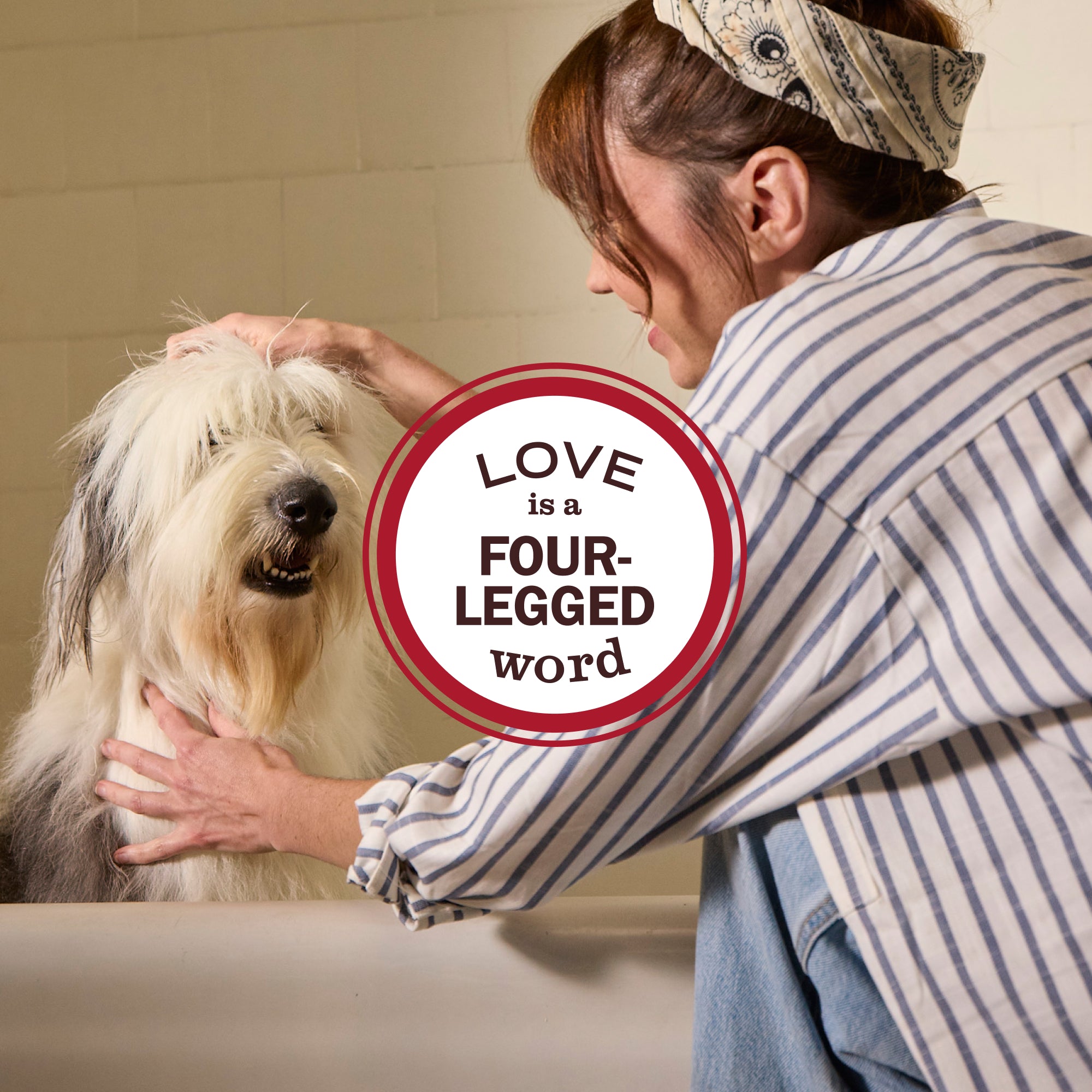 Sweet Chamomile Cat Deodorizing Spritz - Image 9