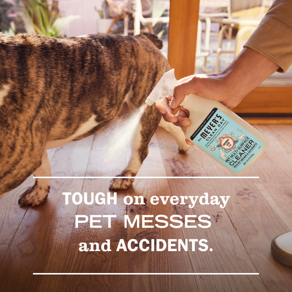 Coconut Leaf Pet Multi-Surface Cleaner - Image 4