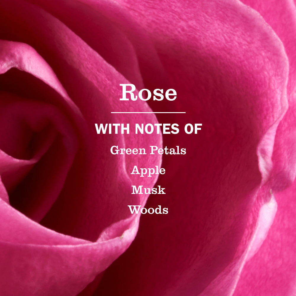 Spring Features Collection - Image 4