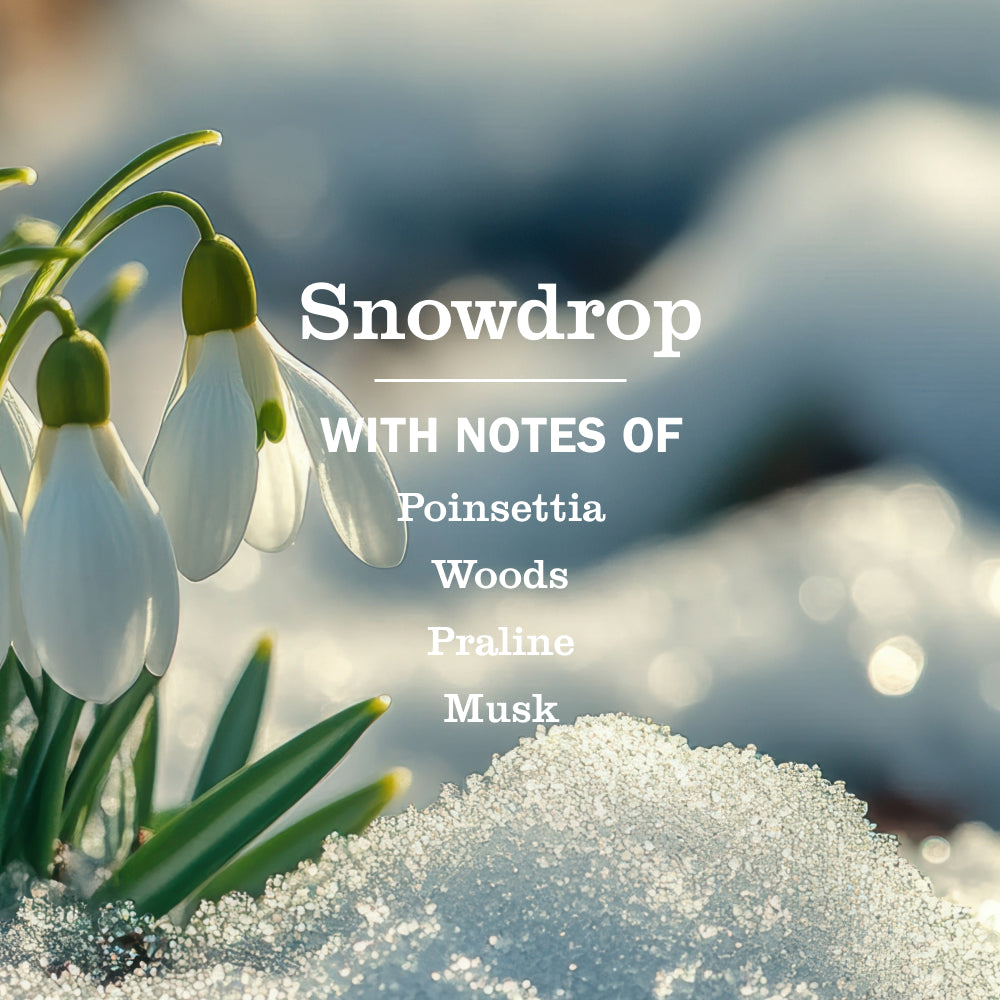 Snowdrop Plug In Scented Oil Refill. 2-Pack - Image 5