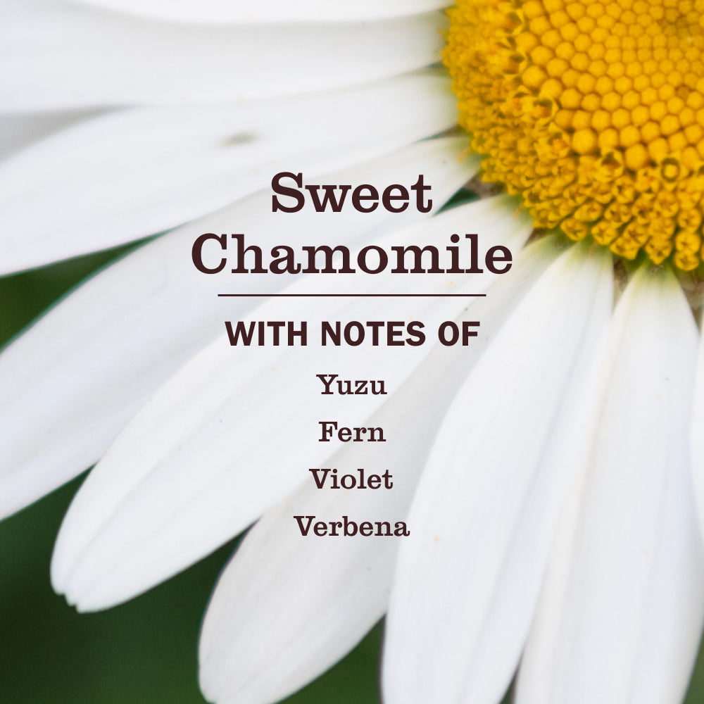 Sweet Chamomile Cat Deodorizing Spritz - Image 3