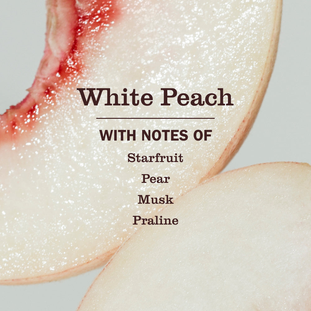 Cat Care Set - Image 4