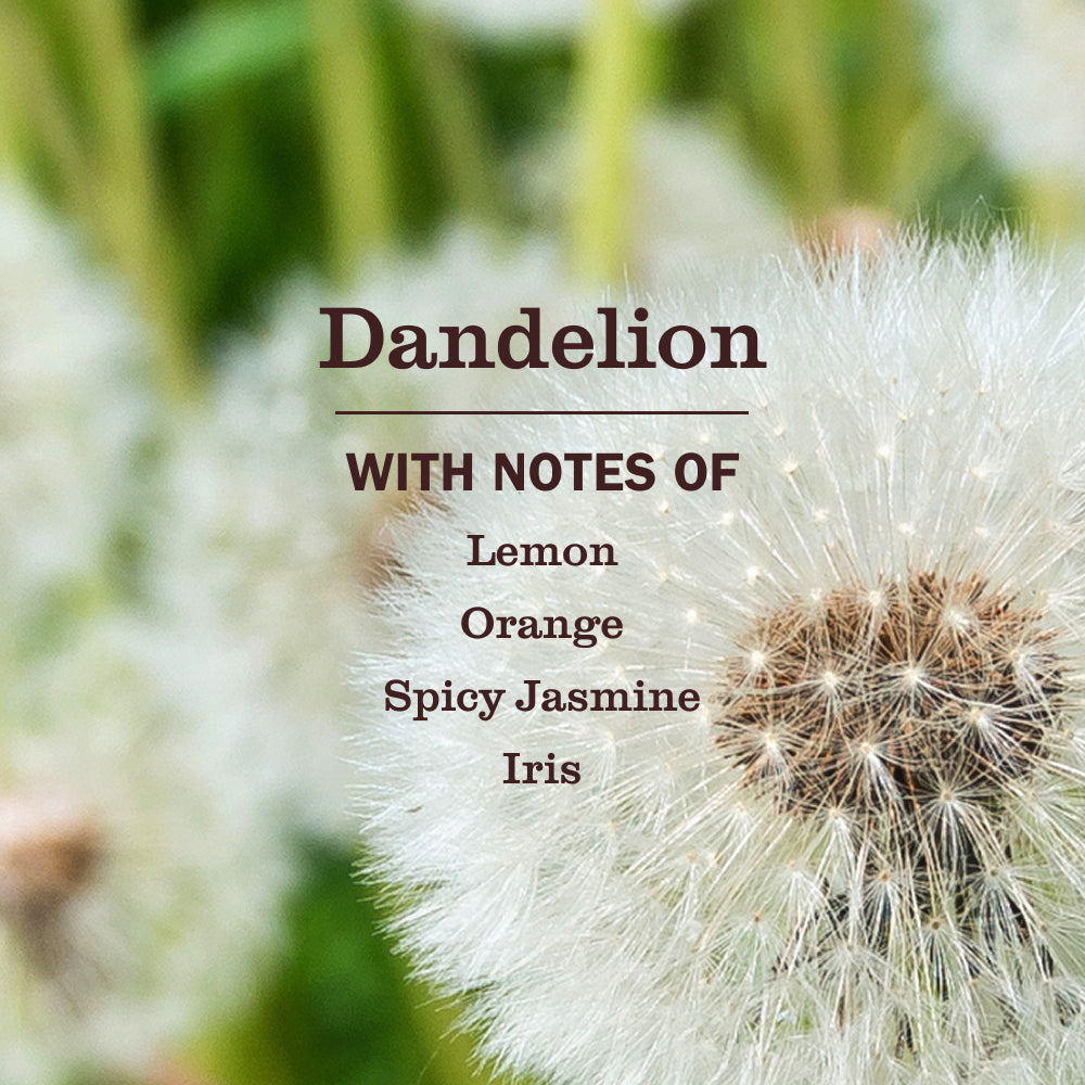 Dandelion Liquid Hand Soap - Image 4
