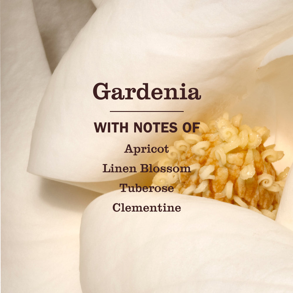 Gardenia Liquid Hand Soap - Image 4