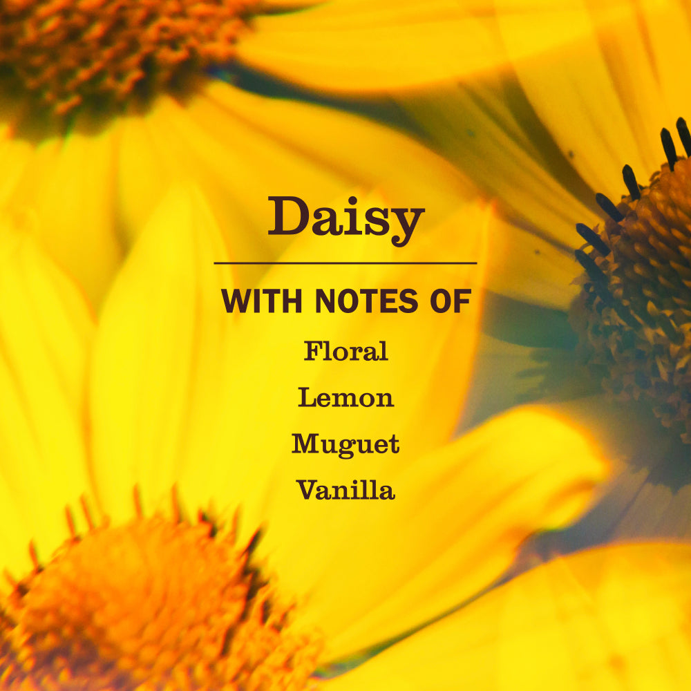 Daisy Multi-Surface Everyday Cleaner 3-count Bundle - Image 4