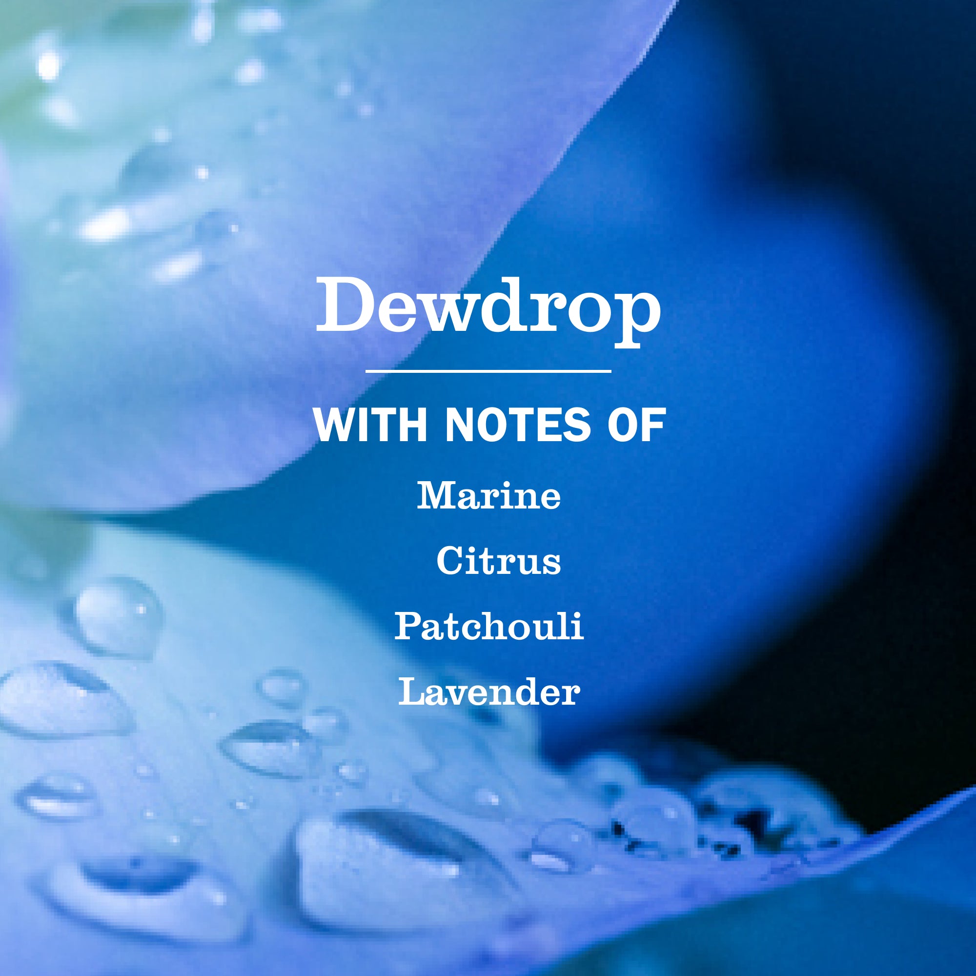 Dewdrop Liquid Hand Soap - Image 4